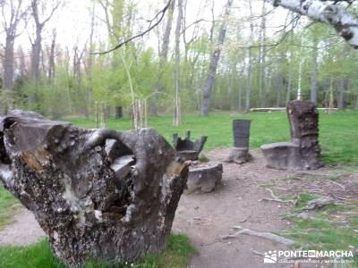 Cascadas Purgatorio,Bosque Finlandia; actividades madrid; conoce gente